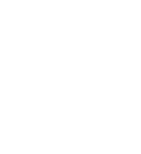 T03